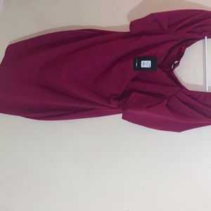 A brand new fashion nova pink dress